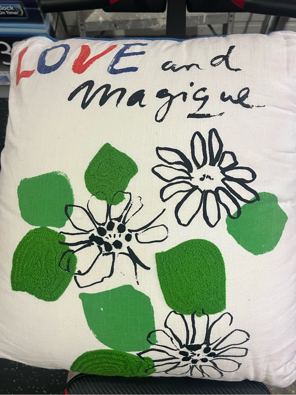 Anthropologie throw pillow
